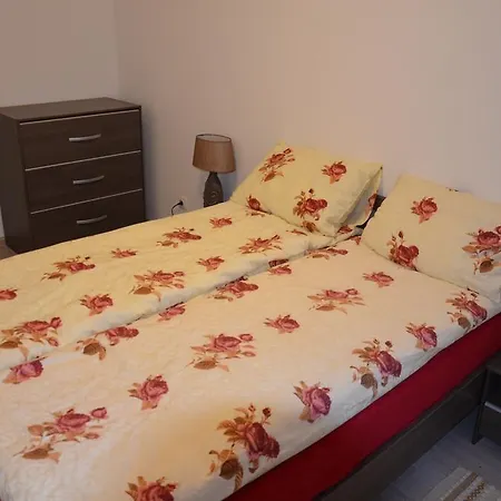 Apartman Ozo Park