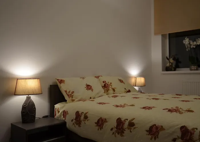 Ozo Park * 维尔纽斯